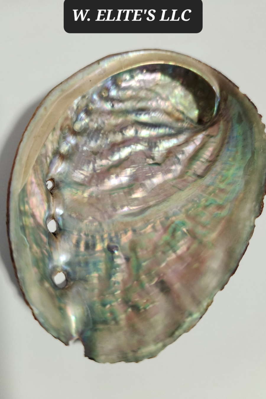 Abalone shell + Palo Santo sticks