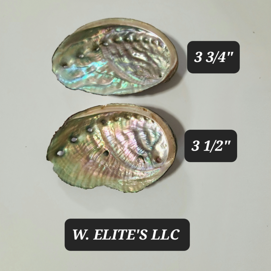 Abalone shell + Palo Santo sticks