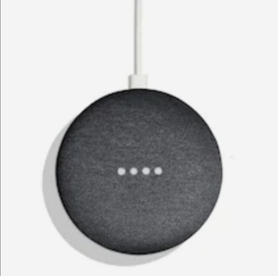 Google Home Assistant (1st gen)